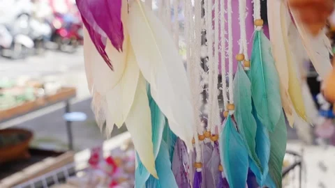 Beautiful background feathers in the wind Stock Footage 221161169