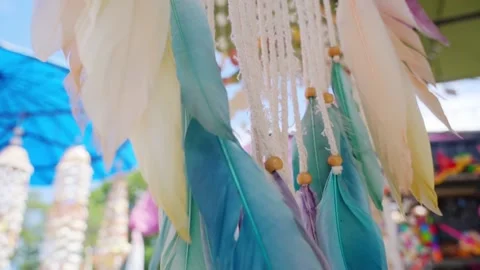 Beautiful background feathers in the wind Stock Footage 221161182