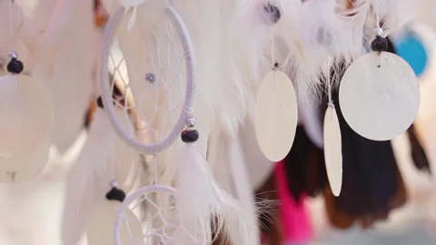 Beautiful background feathers in the wind Stock Footage 221668797