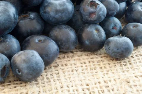 Beautiful background of macro blueberry in studio Stock Photos