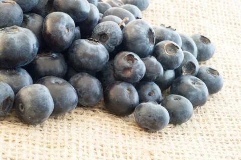 Beautiful background of macro blueberry in studio Stock Photos