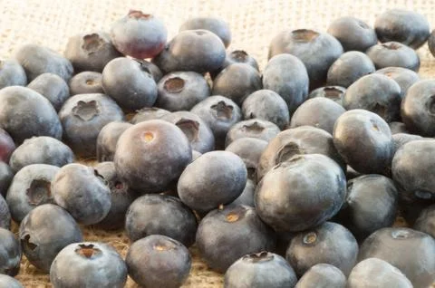 Beautiful background of macro blueberry in studio Stock Photos