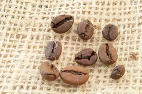 Beautiful background of macro of coffe in studio Stock Photos