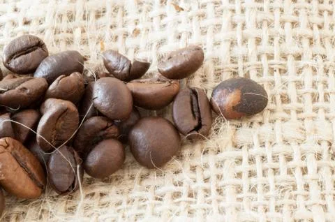 Beautiful background of macro of coffe in studio Stock Photos