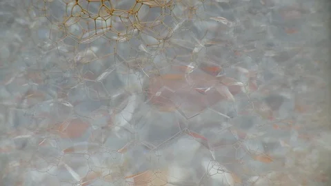 Beautiful background pattern made of bubbles with ink Stock Footage 125959698