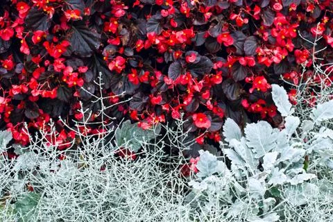 Beautiful background. Stock Photos