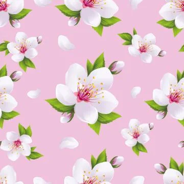 Beautiful background seamless pattern, sakura blossom 库存插图