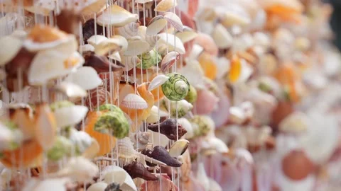 Beautiful background seashells in the wind Stock Footage 219796164