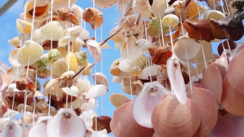Beautiful background seashells in the wind Stock Footage 219796363