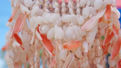 Beautiful background seashells in the wind Stock Footage 220170492