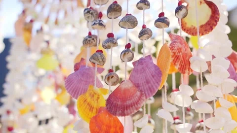 Beautiful background seashells in the wind Stock Footage 221161204
