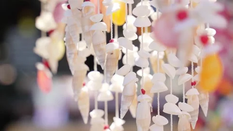 Beautiful background seashells in the wind Stock Footage 221668773