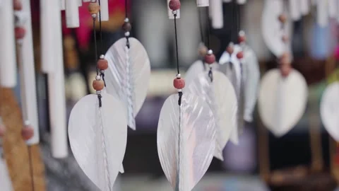 Beautiful background seashells in the wind Stock Footage 222495092