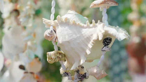 Beautiful background seashells in the wind Stock Footage 222495168