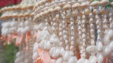 Beautiful background seashells in the wind 库存影片 222495293