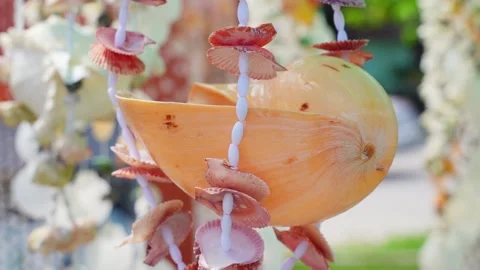 Beautiful background seashells in the wind Stock Footage 222495328