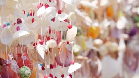 Beautiful background seashells in the wind Video stock 223805379
