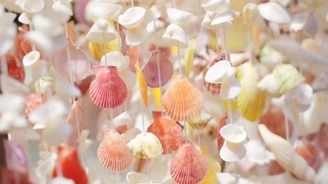 Beautiful background seashells in the wind Stock Footage 223805463