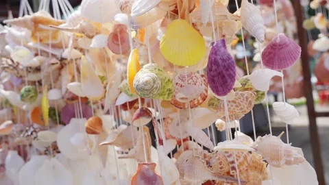 Beautiful background seashells in the wind Stock Footage 223805491