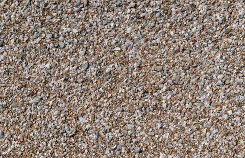 Beautiful background of shells close-up, can be used for both background and  Stock Photos