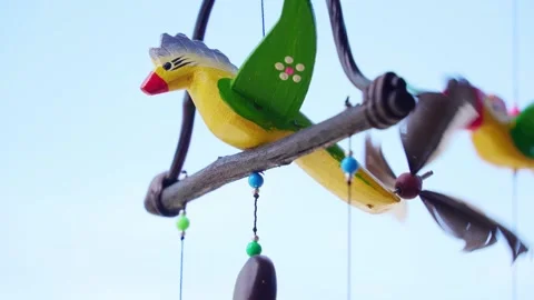Beautiful background souvenir bird in the wind Video stock 220170477