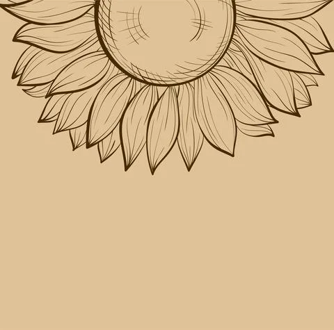 Beautiful background with sunflowers. Stock Illustration