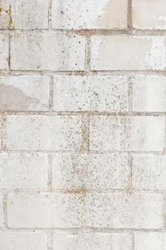 A beautiful background texture of light brickwork in shades of gray and white 스톡 사진