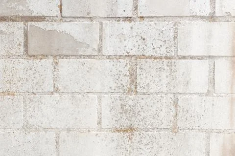 A beautiful background texture of light brickwork in shades of gray and white Stock Photos