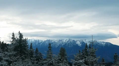 Beautiful background, winter forest, mountains, Romania, Carpathians. Slow Stock Footage 234860553