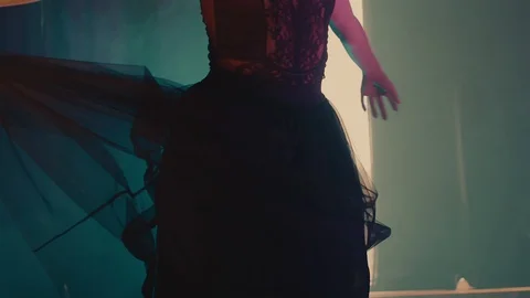 Beautiful ballet performance indoor. Stock Footage 90278391