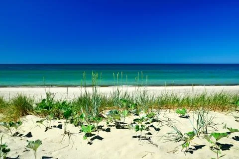 Beautiful baltic dunes Stock Photos