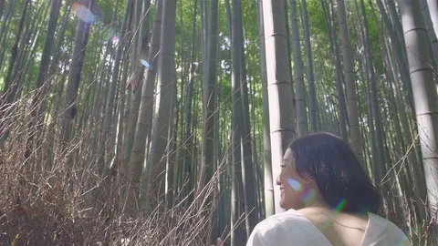 Beautiful Bamboo forest model sliding shot Kyoto 스톡 동영상 76538790