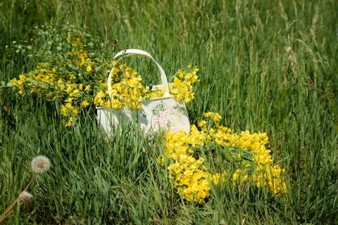 A beautiful basket Stock Photos