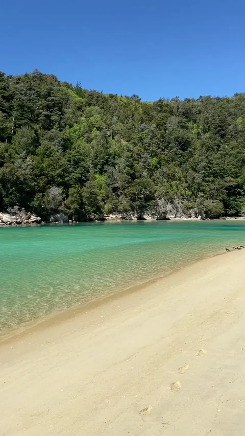 Beautiful beach in Abel Tasman Stockbeeldmateriaal 343952978