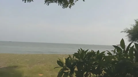 Beautiful beach atmosphere with green grass and trees Stock Footage 293660130