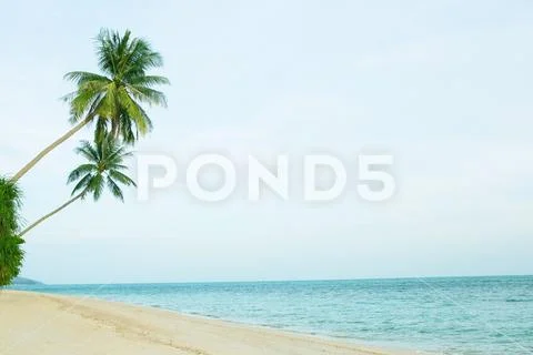 Beautiful beach with coconut palm trees. Stock-Fotos