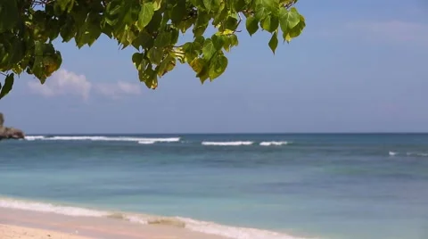 Beautiful beach. Stock Footage 66579212