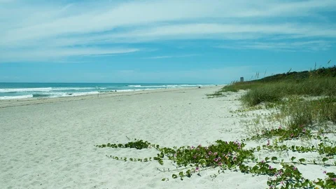 Beautiful Beach 스톡 동영상 92619458