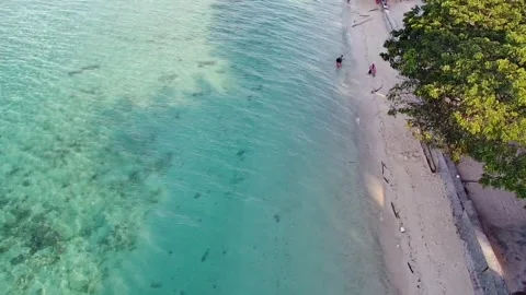 Beautiful beach Video stock 227416650