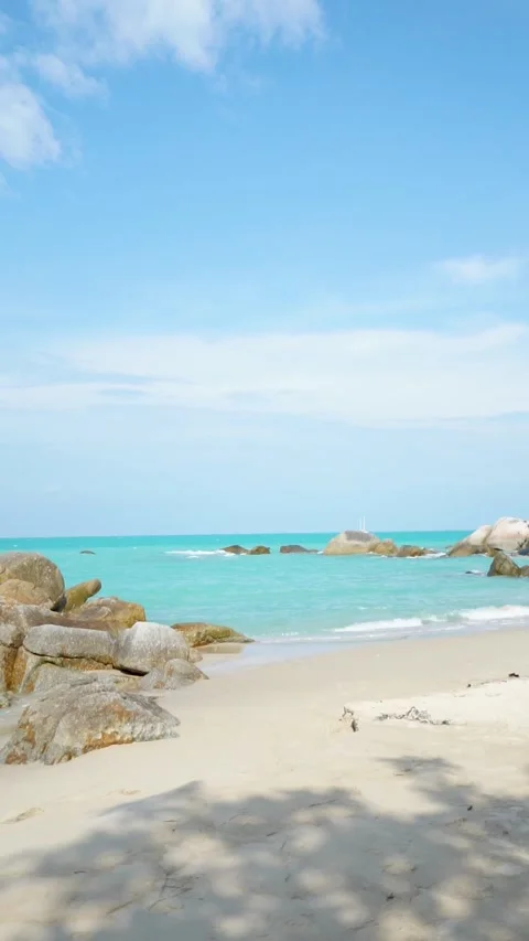 Beautiful Beach Stock Footage 244214441