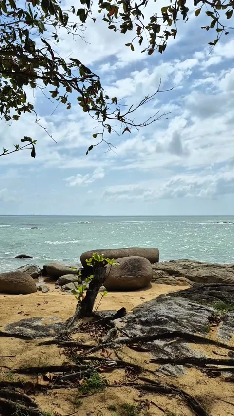 Beautiful beach Stock Footage 292974469