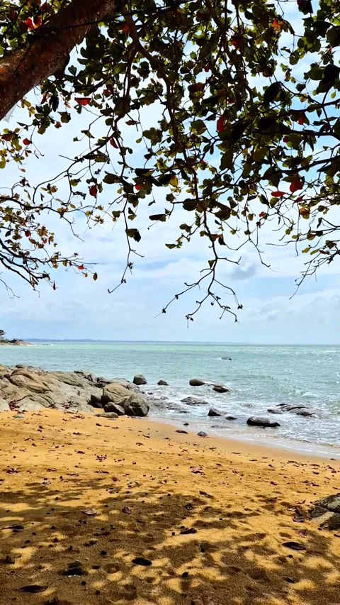 Beautiful beach Stock Footage 292974670