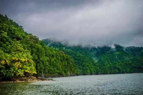 Beautiful beach in the forest Stock Photos