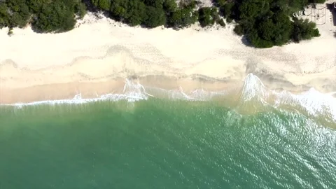 Beautiful beach with a green forest in the background Видео 294547285
