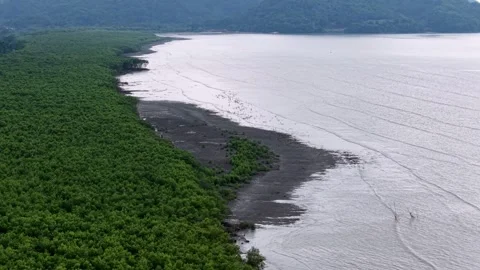 Beautiful beach with a green forest in the background. Aerial coastal Balik.. Vidéo 314391573