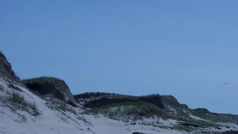 Beautiful beach landscape featuring a kite in the wind Stockbeeldmateriaal 317125027
