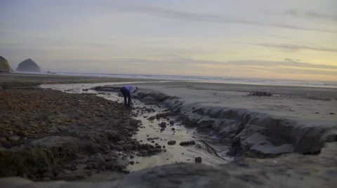 Beautiful beach landscape Stock Footage 59902004