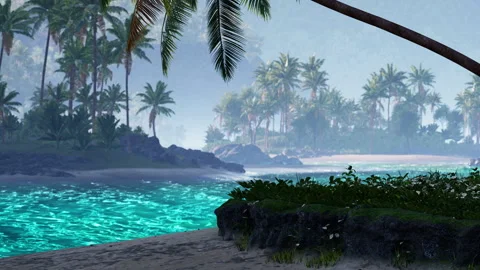 Beautiful beach with palm trees and clear water in the background Stock Footage 344175053