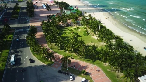 Beautiful beach with palm trees Stock Footage 242409612