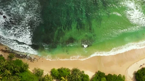 Beautiful beach, palm trees by turquoise water view from above. Stock Footage 201039288
